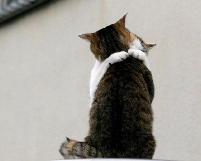 "Любовь - всегда спасет..." (17.03.2020)