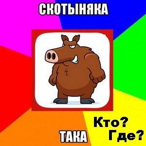 Загадка:  кто и где?