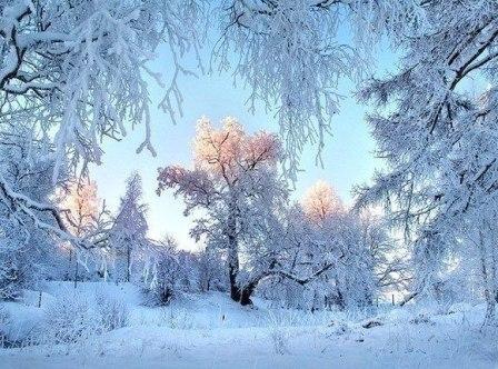 ---Очарование зимы---