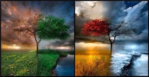 Вот такая карусель