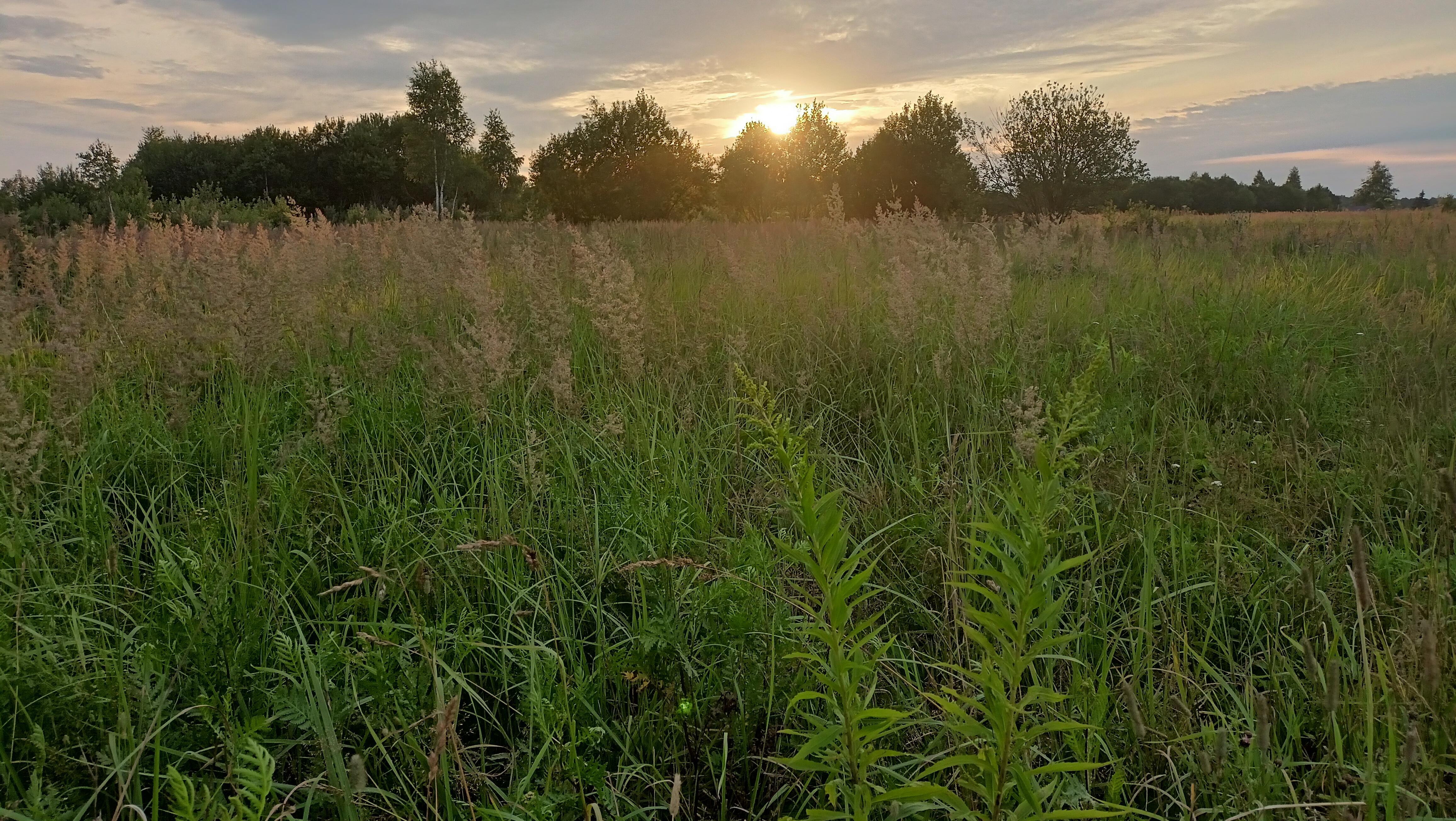 Солнце закатное