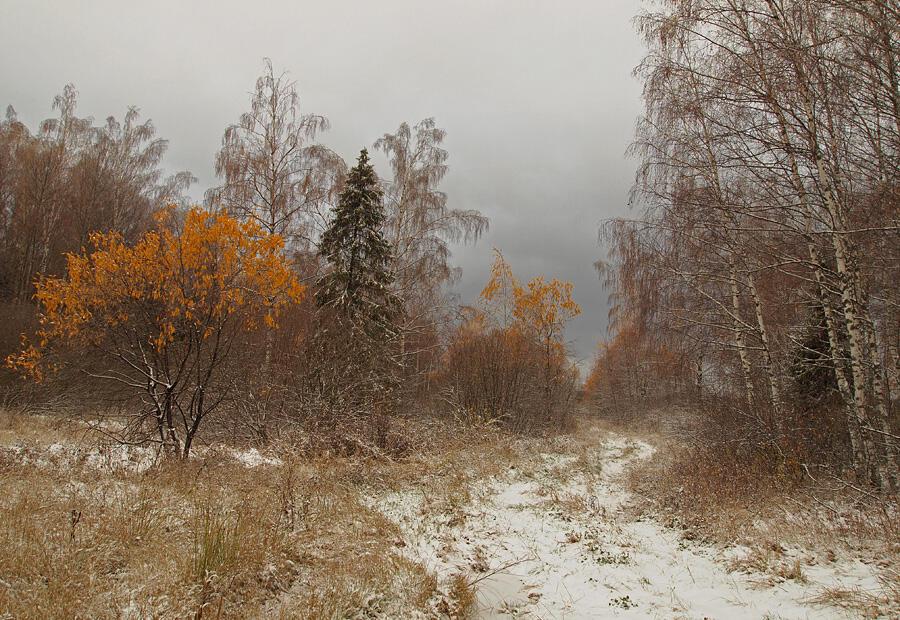 Поздняя осень фото Неброская осень... ( Ⅹокку)... - стихотворение поэта