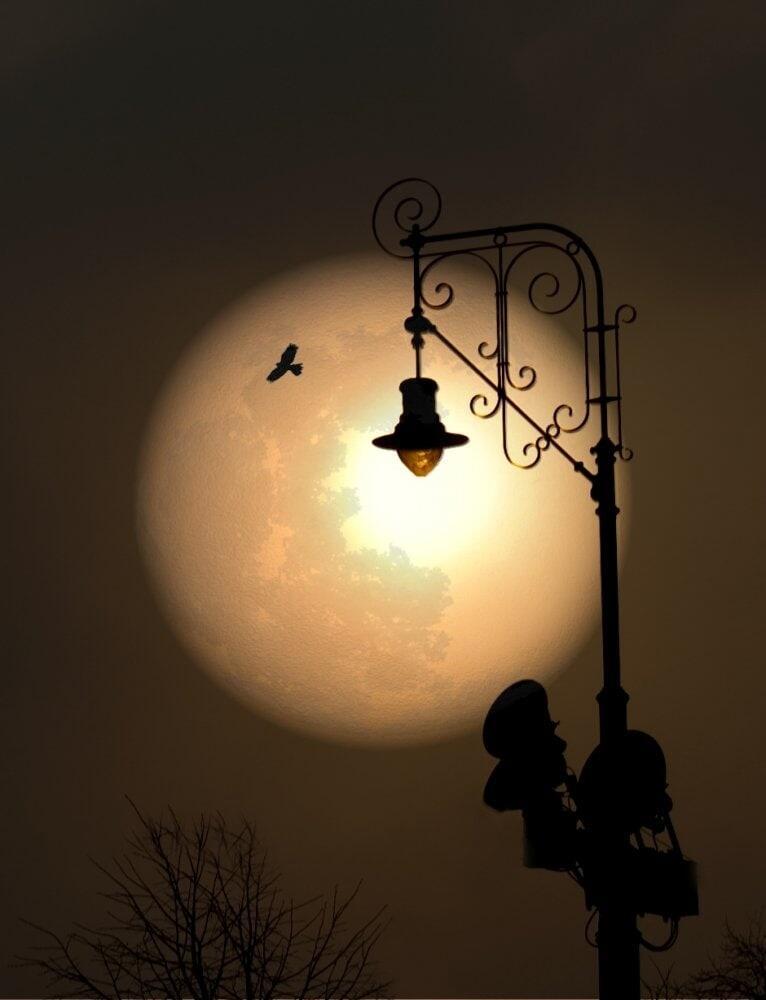 Ночь. Луна. Фонарь.