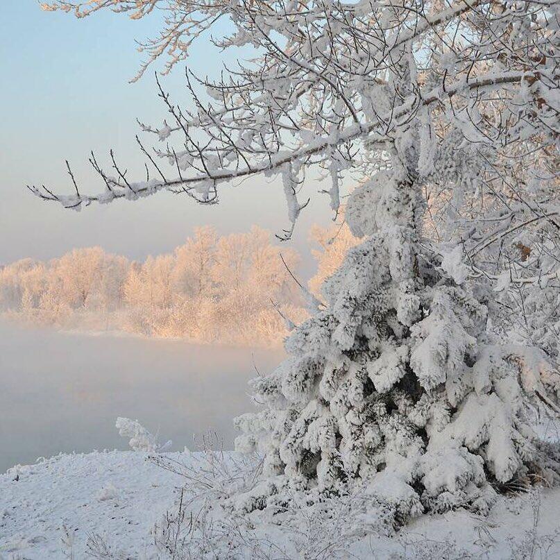 Длань февраля