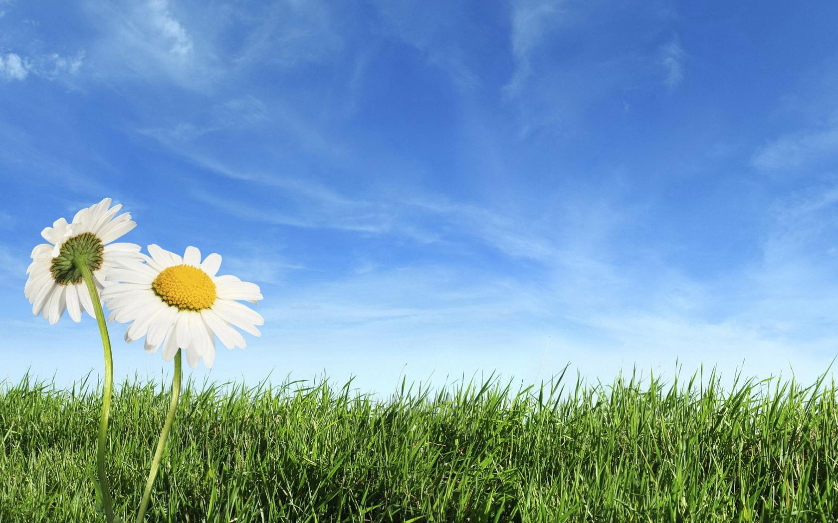 НА УРОКАХ ЛЮБВИ   (+аудио)