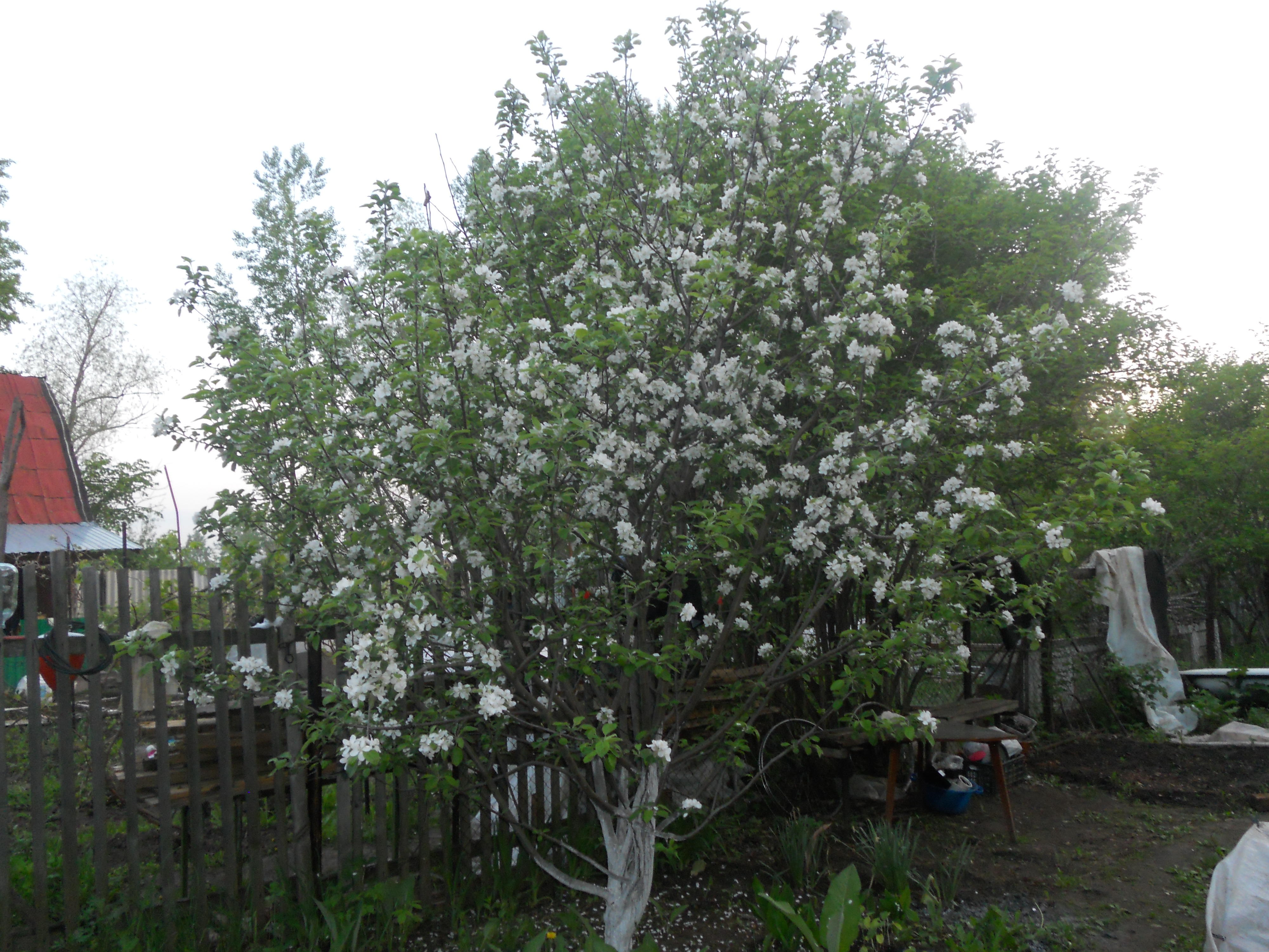 РОДНОЕ МЕСТО, ЛЮБИМОЕ СЕЛО.