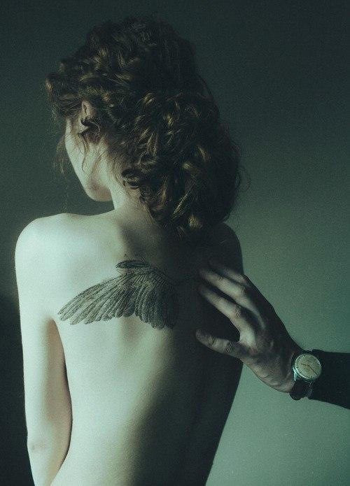 "Новые крылья" (17.02.2018)