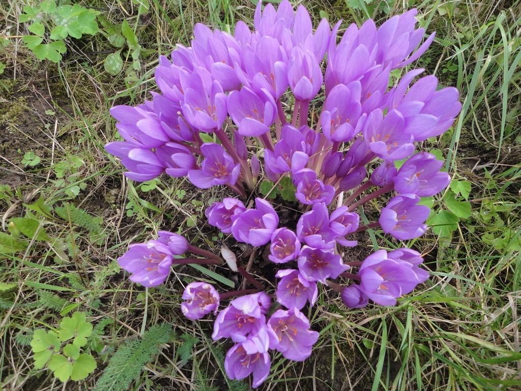 Ты искал любовь