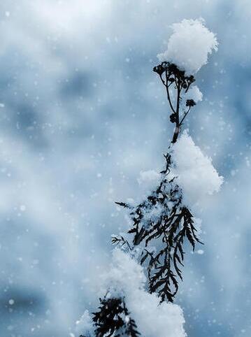 Подарок Югу....