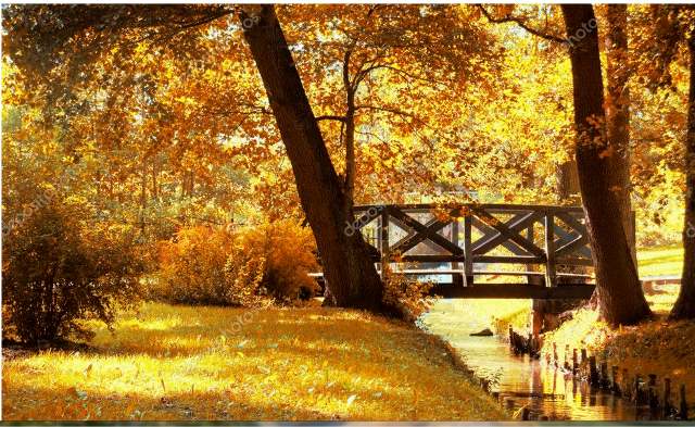 ЗОЛОТЫЕ КУДРИ