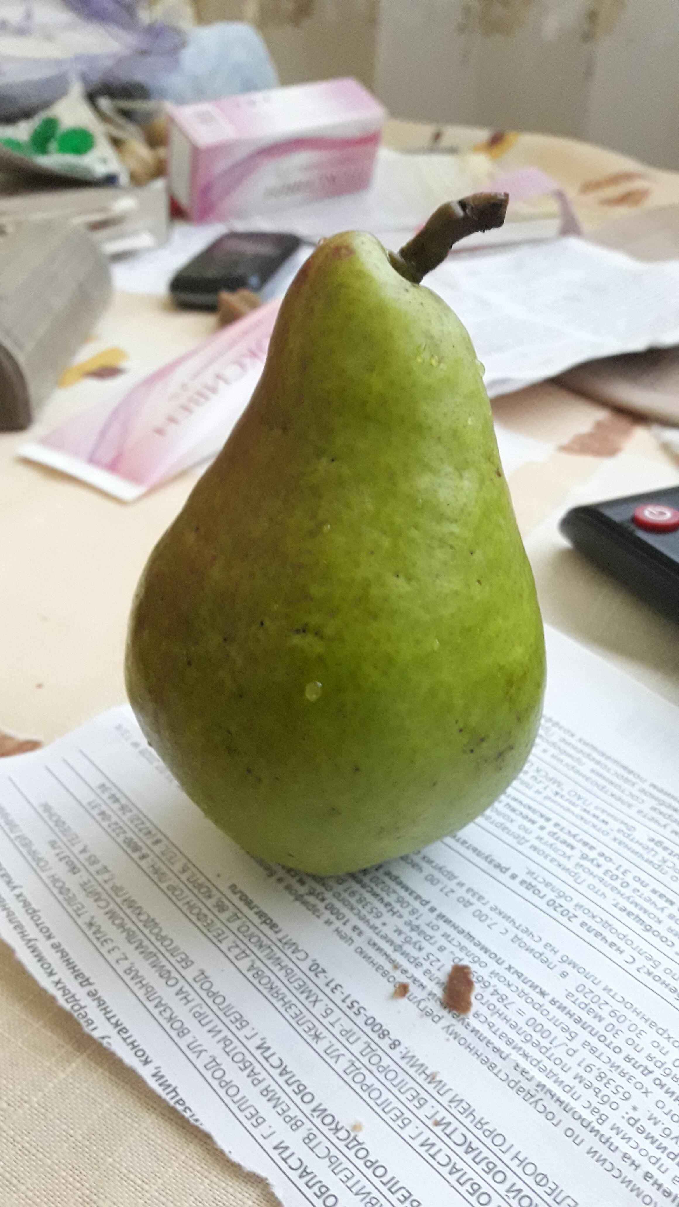 ПОСАДКА ГРУШИ