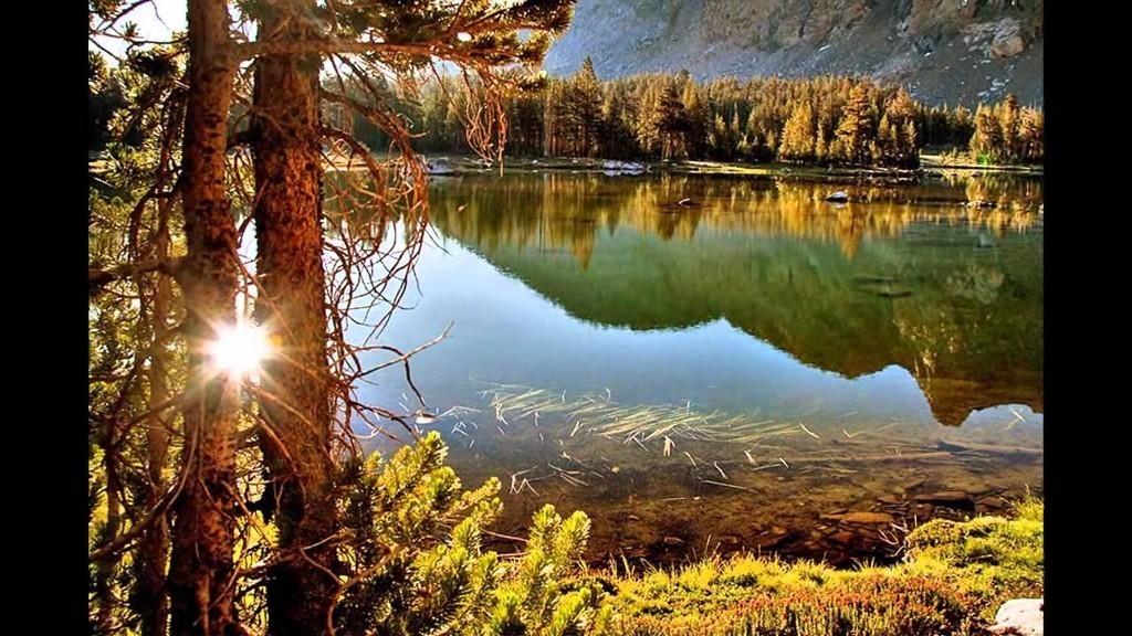 Устремляюсь...