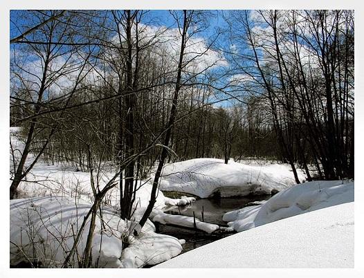 Как чудно в мартовсом лесу!..