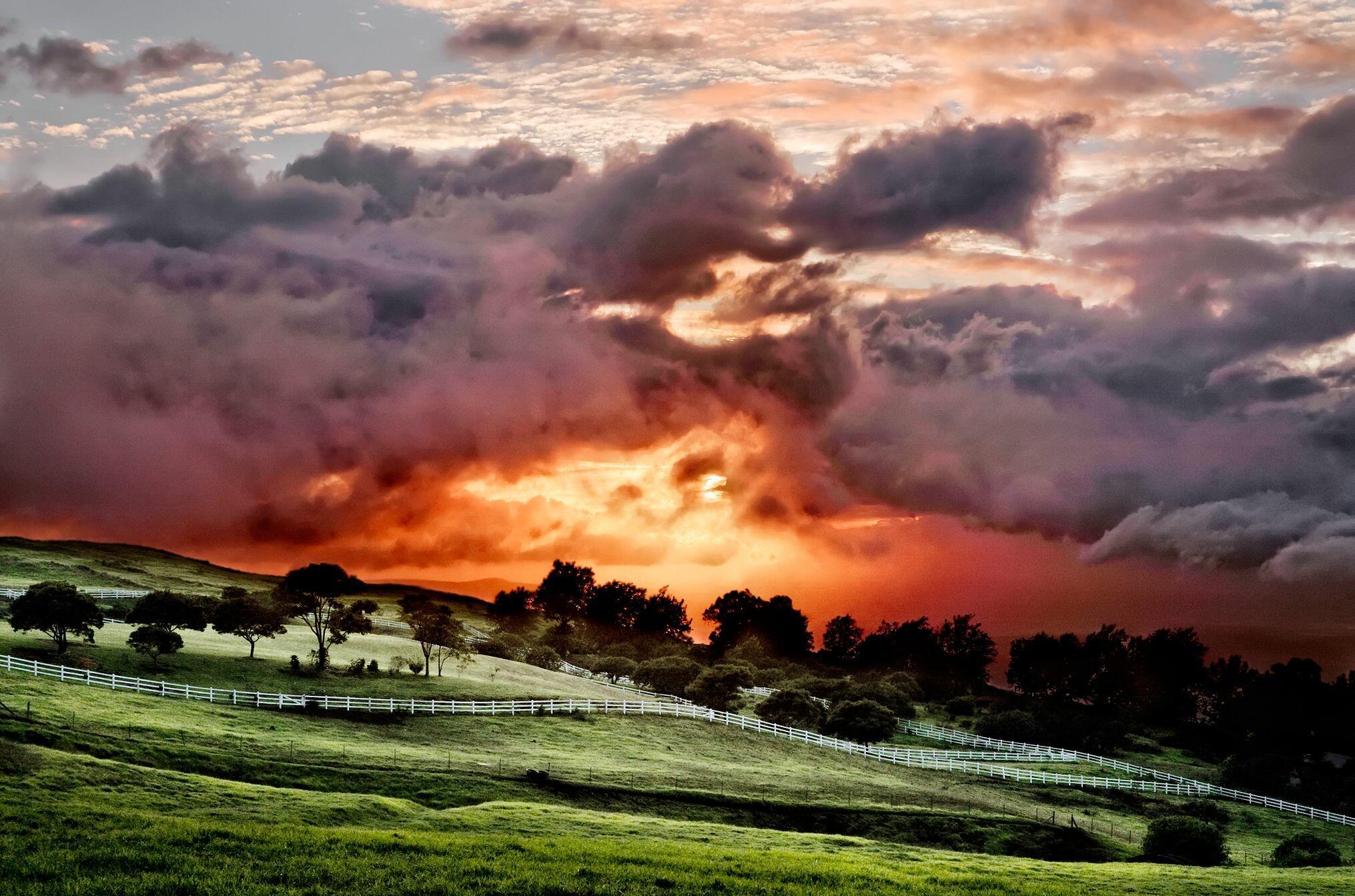 Ответ поэту - Медведь Белый - ОБЛАКА