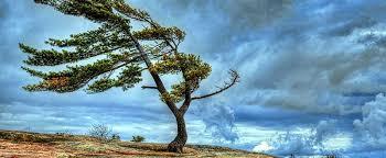 И попроситься к мигу на постой...