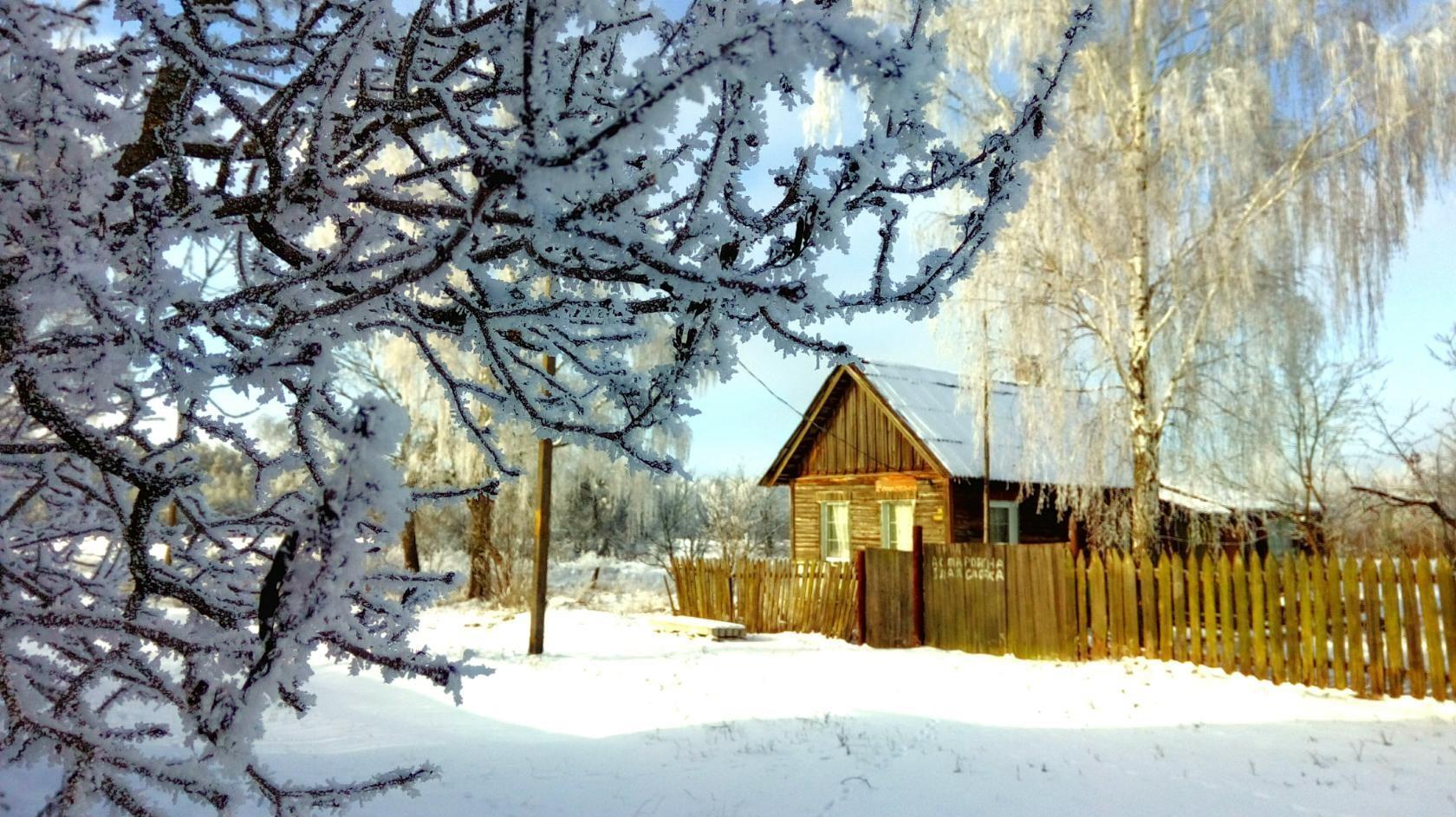 Песня деревенька моя деревянная. Село Парфеньево зимой. Зимние деревья в деревне. Деревья в деревне зима. Моя деревня.