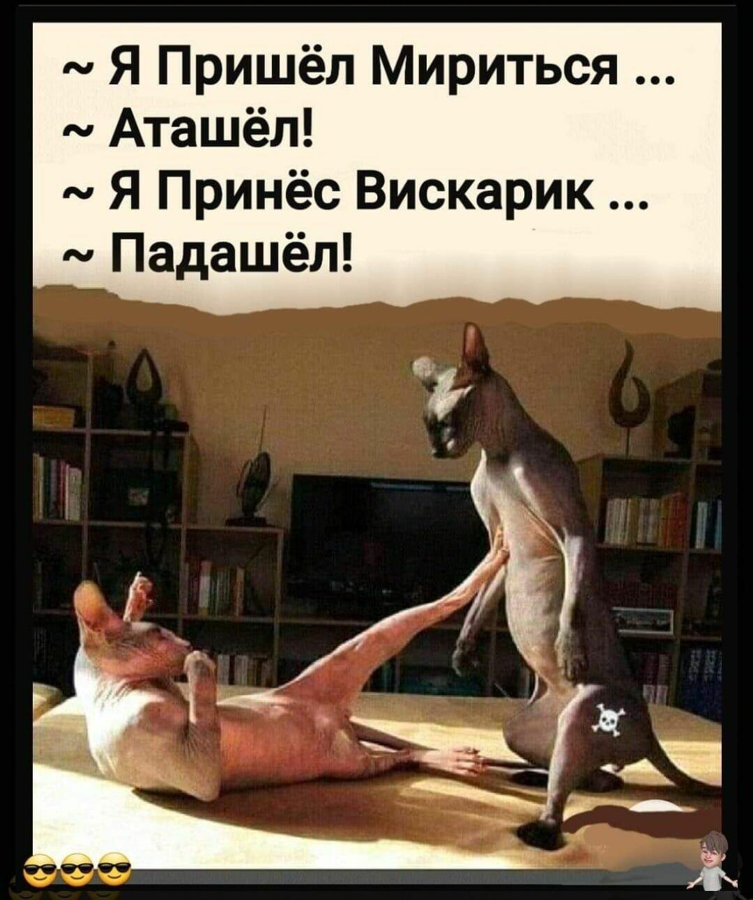 Про вискарик. ДвуХстишье