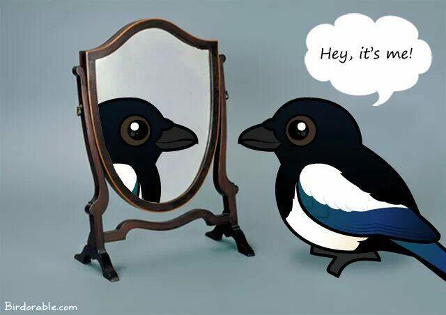 Обычная девчонка