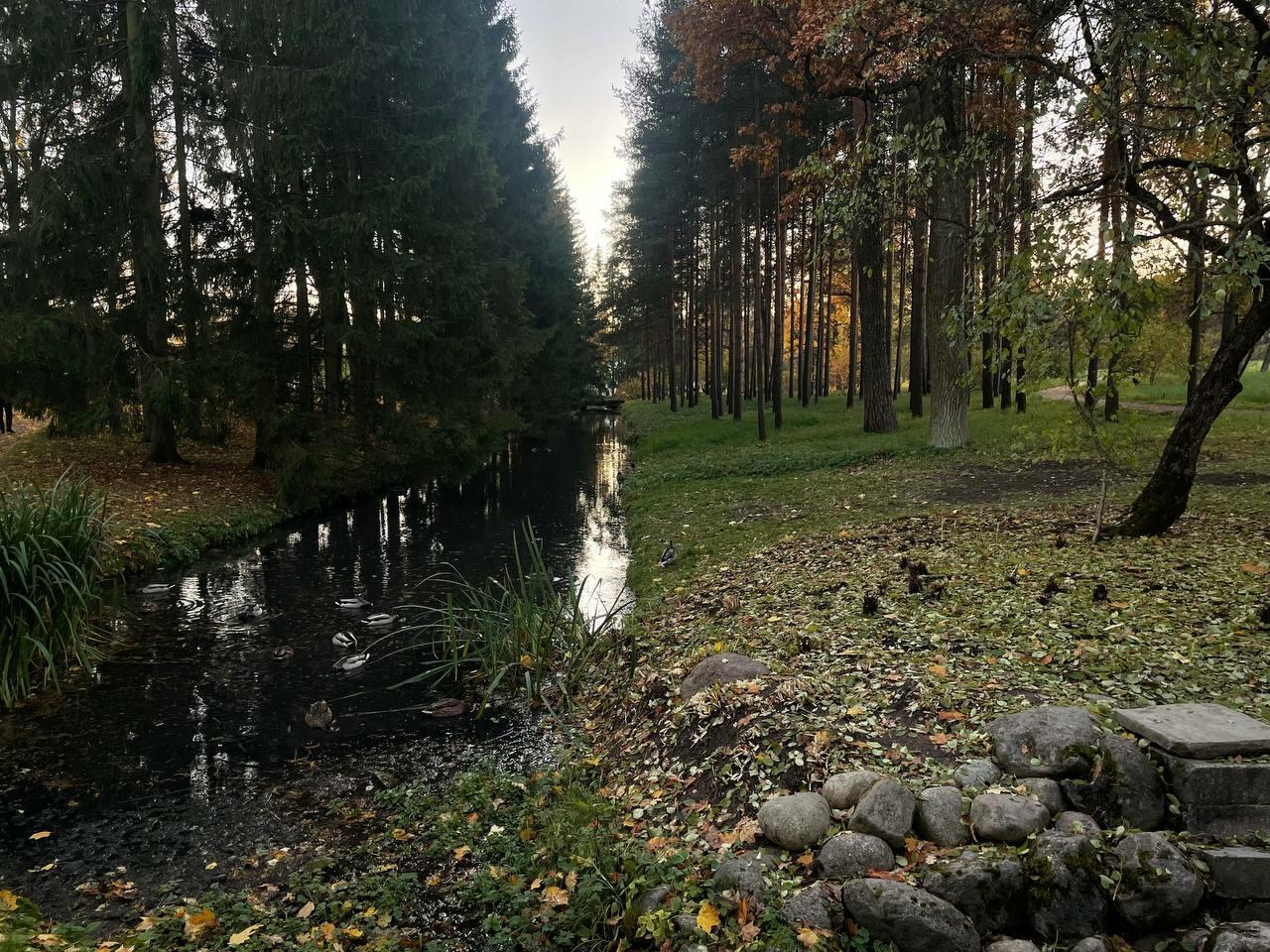 Я не хочу седой зимы