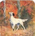 Бимка (мини-басня)