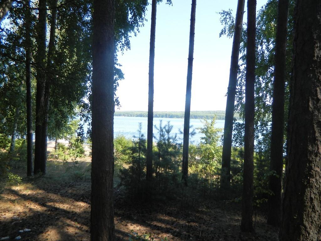 Знойное лето