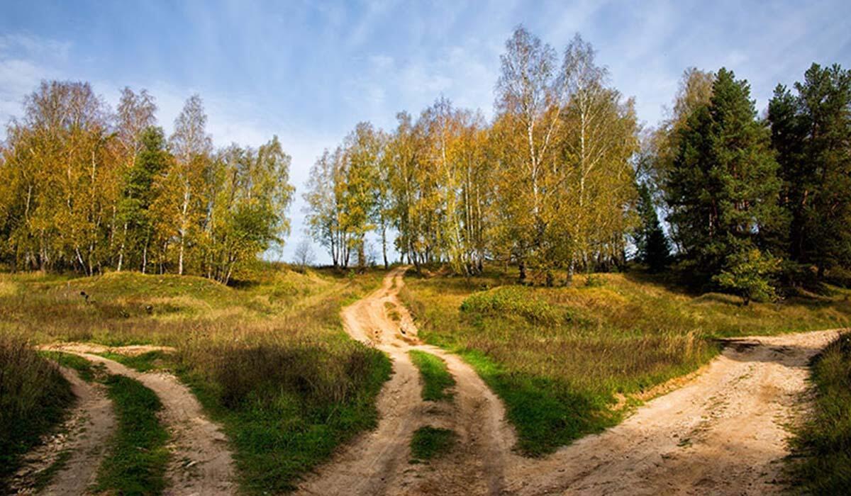 Картинка 3 дороги. Развилка дорог. Три дороги. Перекресток дорог в лесу. Распутье дорог.