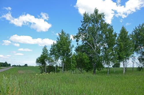 Дивная поляна