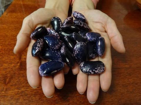 Ох уж, эти сорняки!