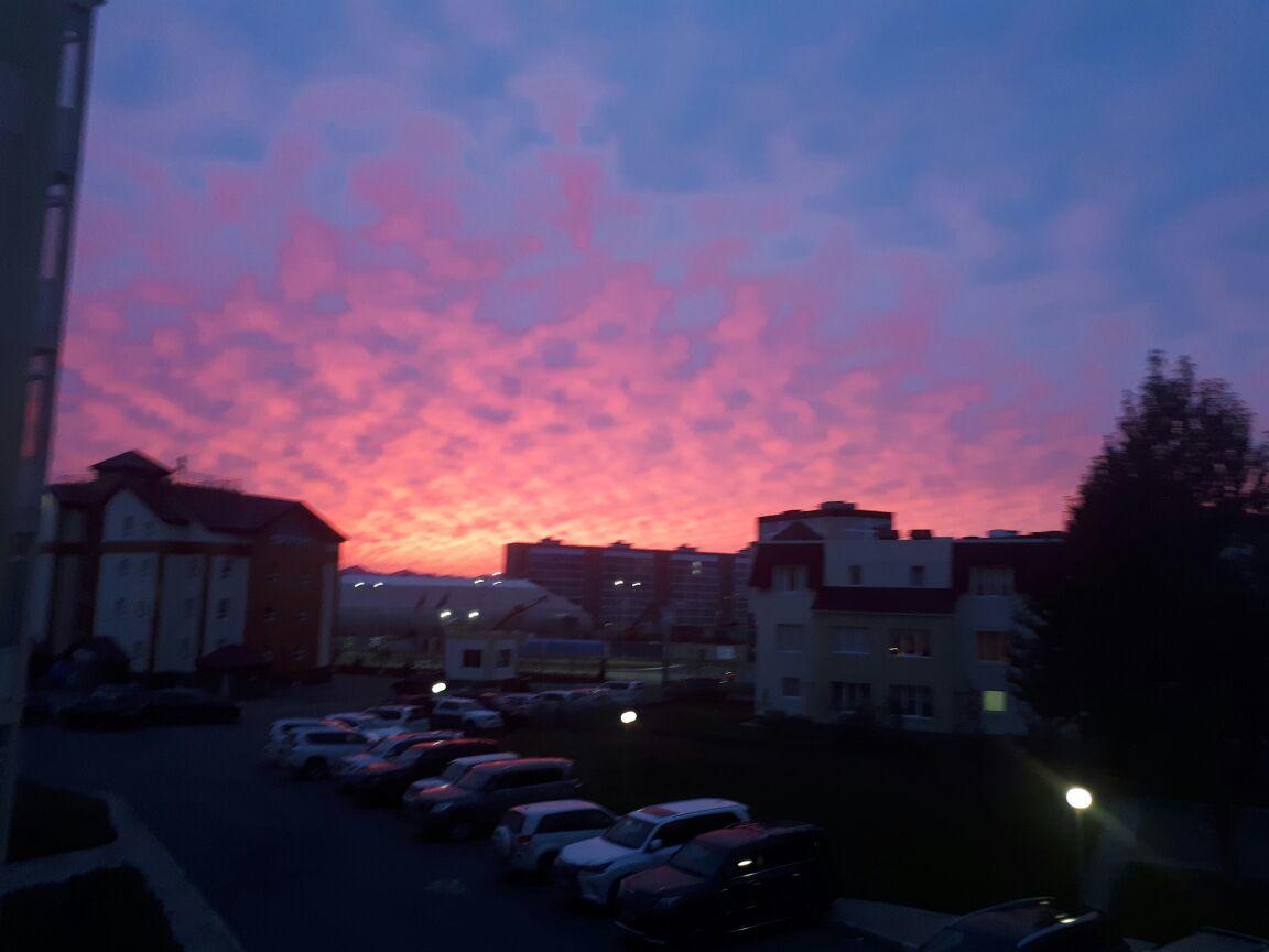 Рассеялся пыльцою звездопад