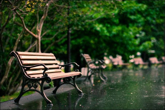 "Наблюдения" (16.08.2013)