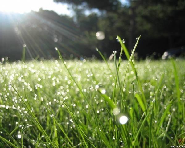 Июньский дождь.