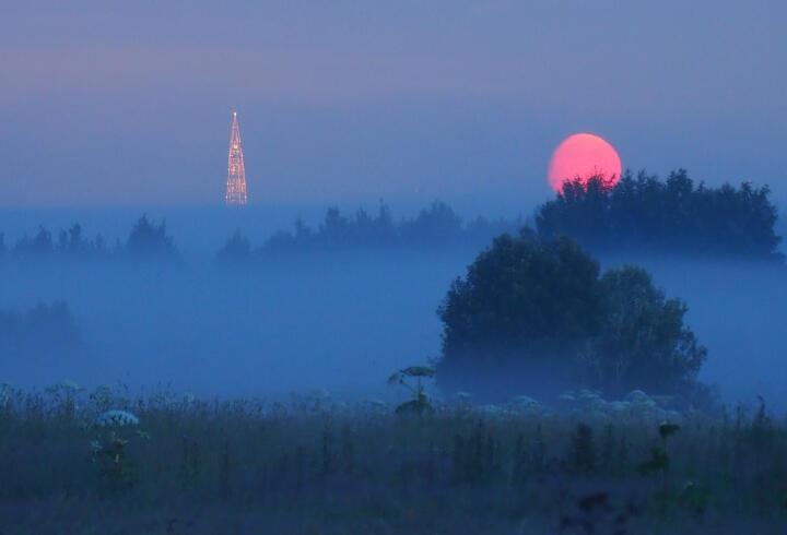Пересекая перекрёстки ✨ALEKS_BCH /Алексей Захаров/ & SUNO
