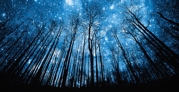 когда проснётся острый месяц