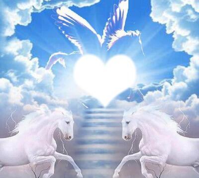 Новый   Мир...