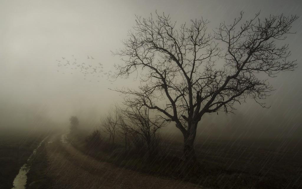 Лишь только так, а не иначе...