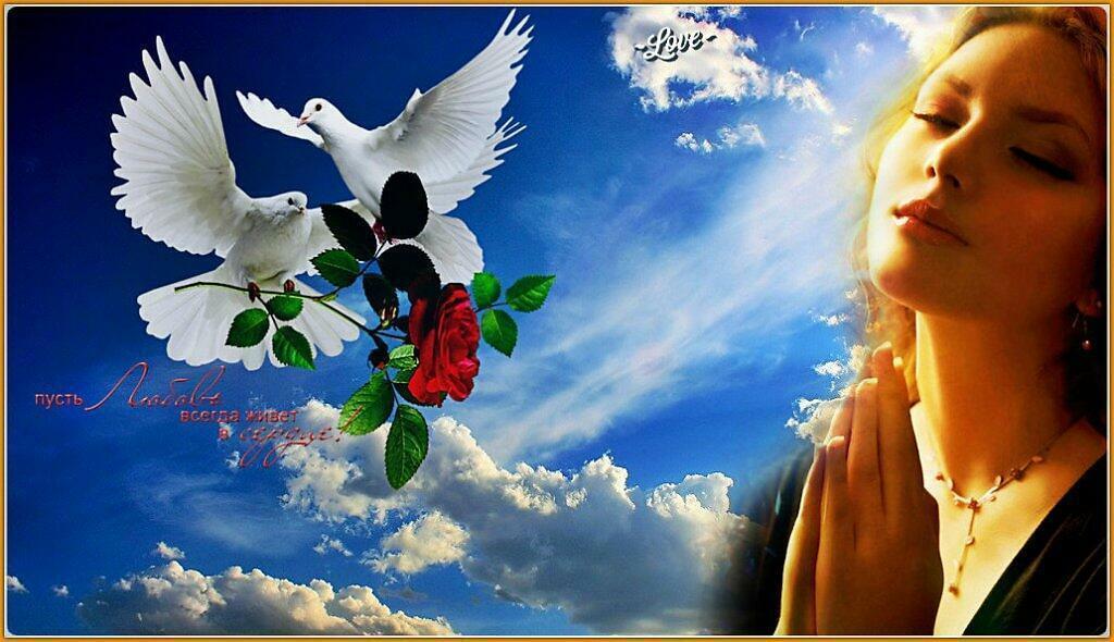 ЖИЗНЬ   РАССУДИТ