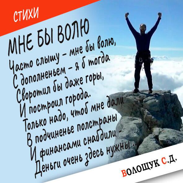 Мне бы волю