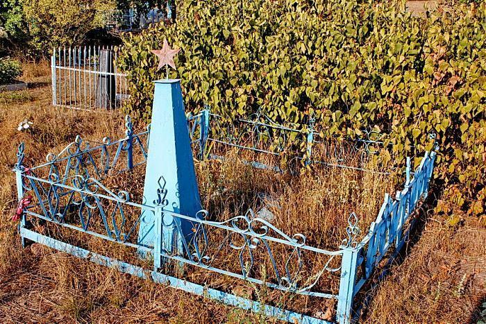 Безвестный воин Великой войны