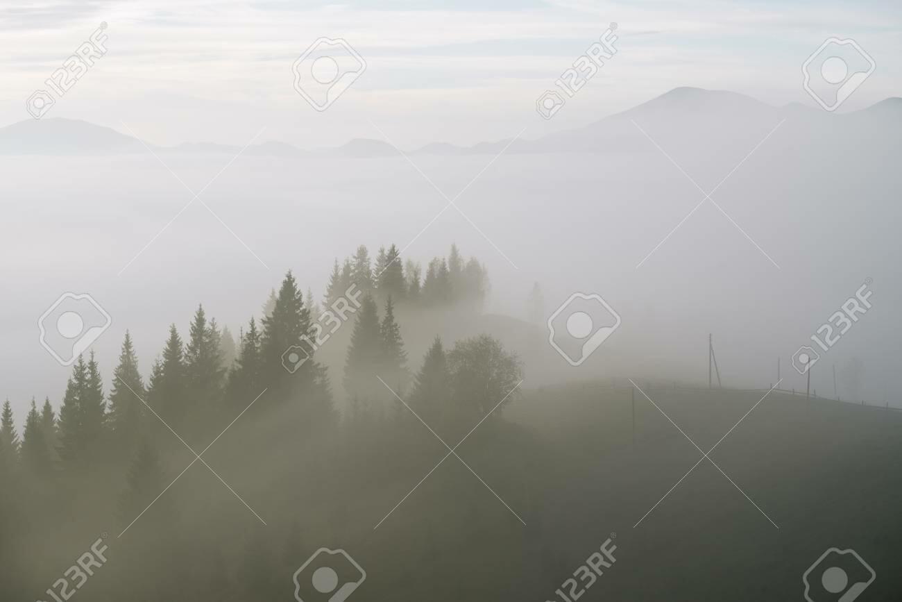 Загадки о тумане