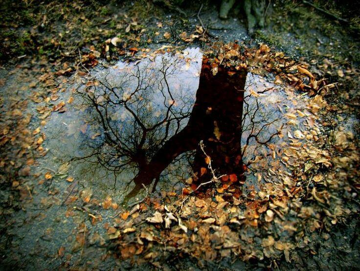 Если  небо хмурится