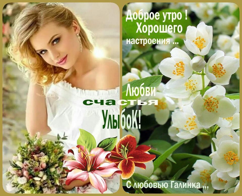 Проснись в цветении роз  ...   Галинка Багрецова