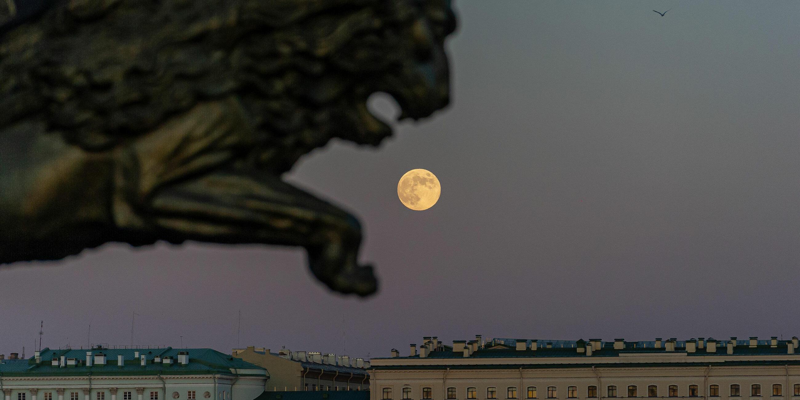 Такой безумно душной ночи