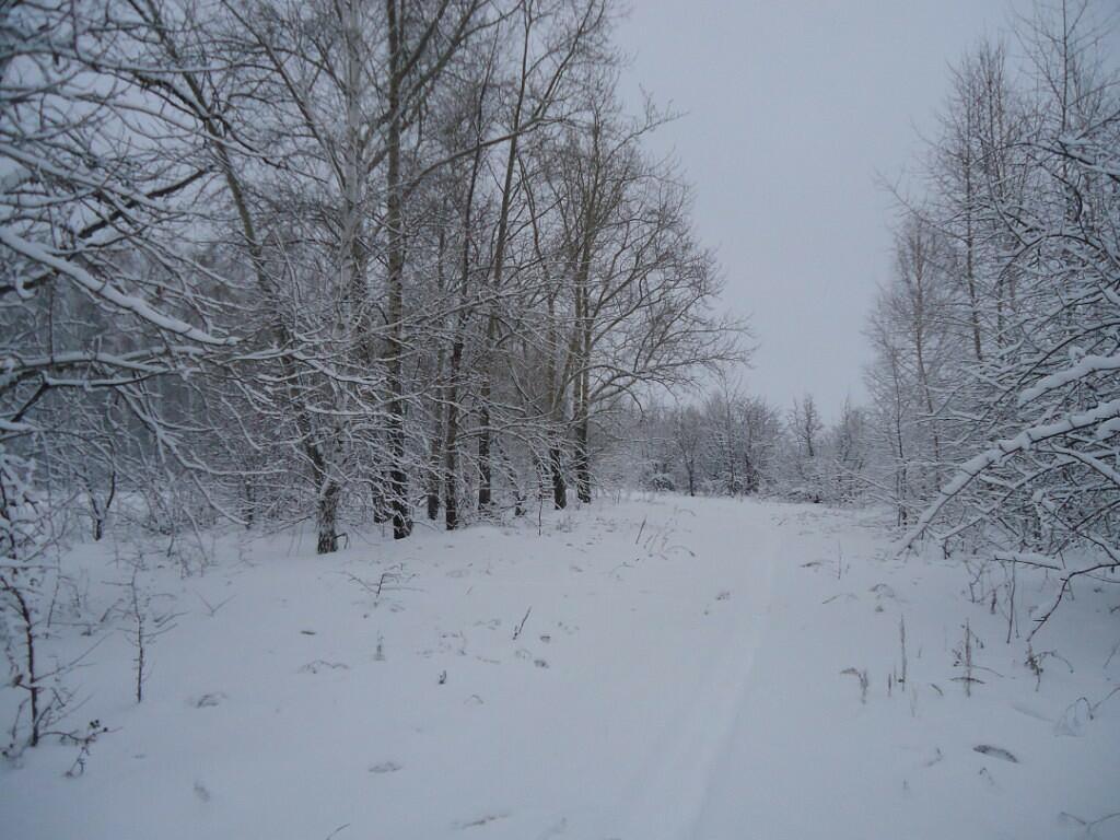 Зимние строки