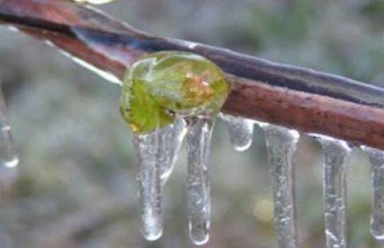 В предверии