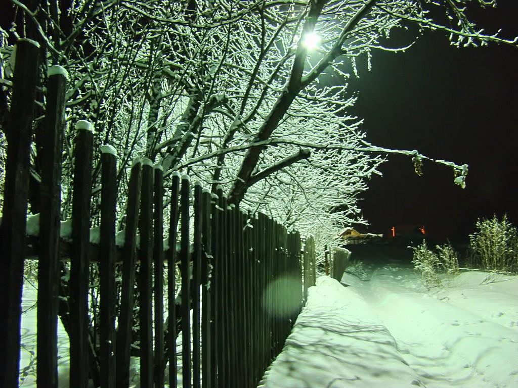 таинственная сила тишины