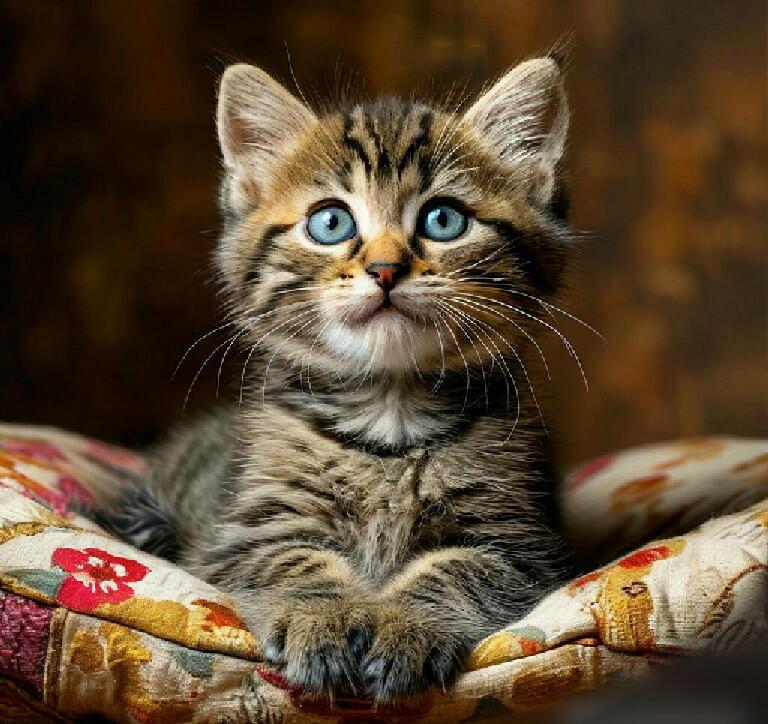 О теплоте...