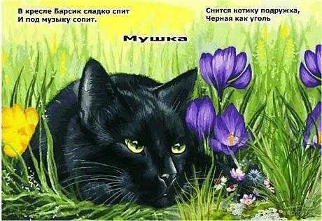 Мушка (для детей)