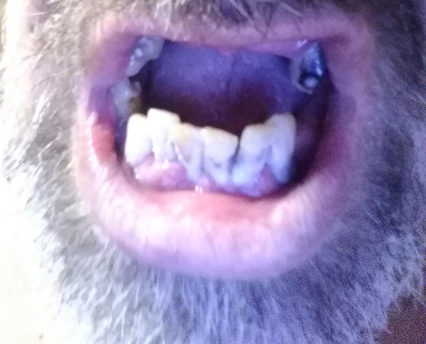 Бббыл пппраздник... 