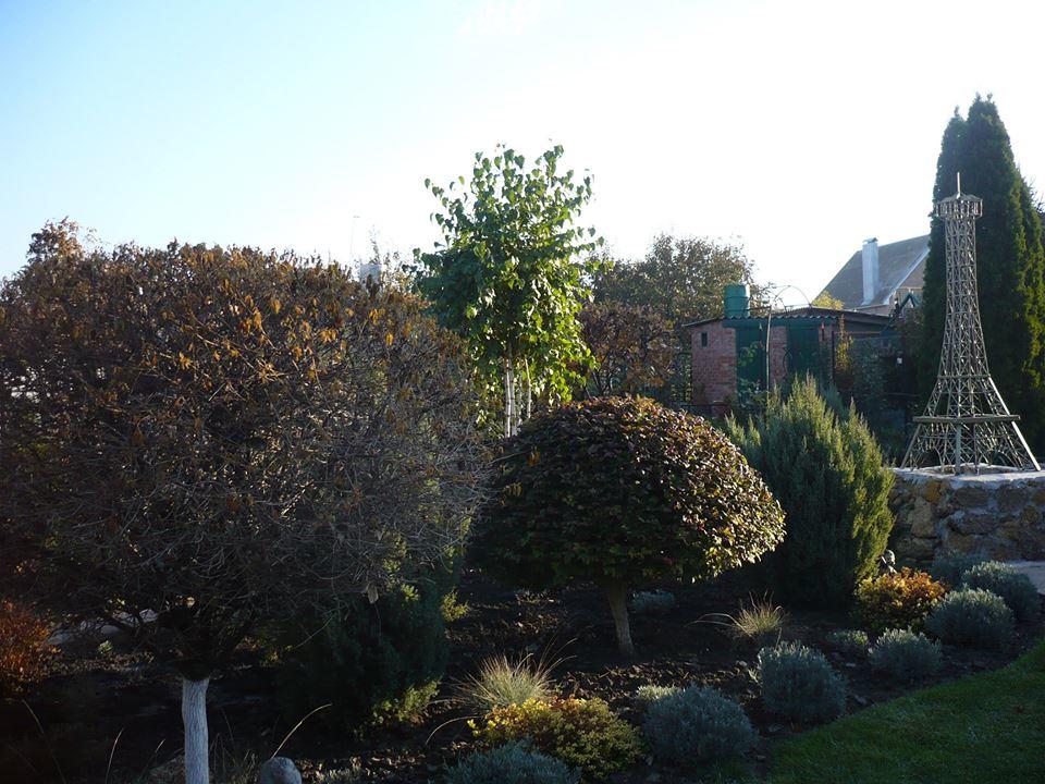 ...А осень - как ночная птица