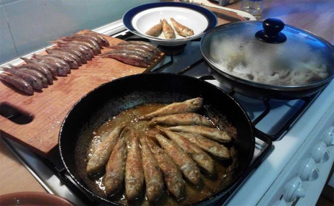 "Камса! Малосольная  камса"!  ПОЁТ ЕВГЕНИЙ  ЕВДОКИМОВ